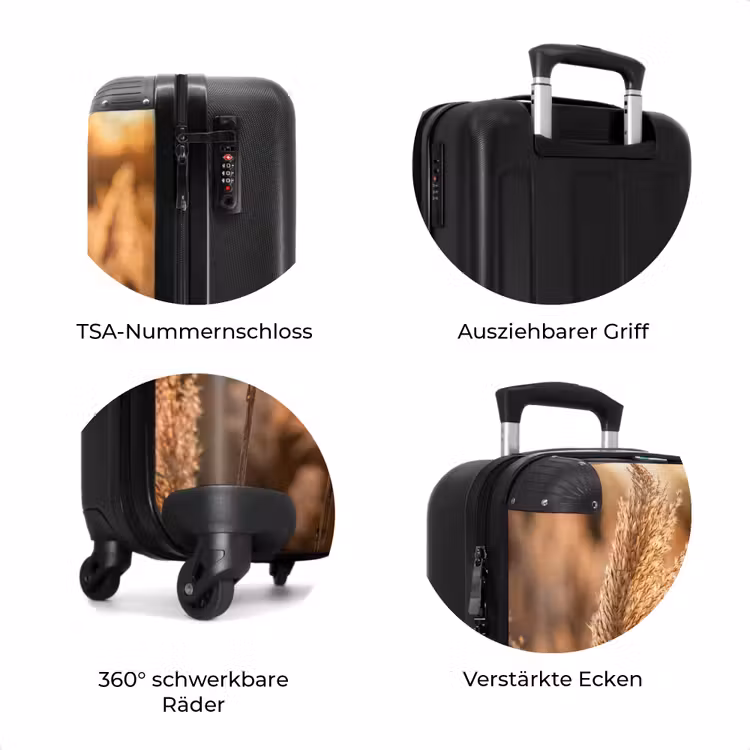 Koffer - Schilfhalme – Gras – Sonnenuntergang – Gold – Gelassenheit — 8