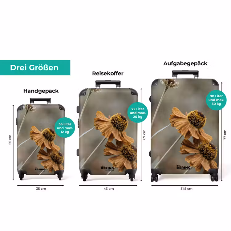 Koffer - Trockenblumen – Gelb – Warm — 3