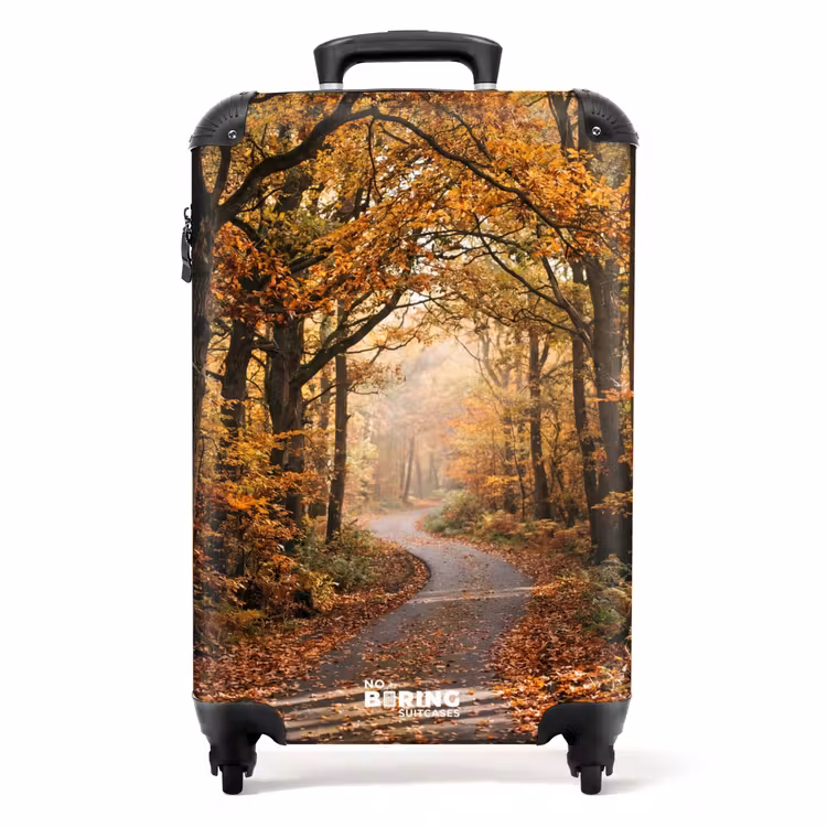 Koffer - Waldweg – Herbstwald – Blätter – Orange – Nostalgisch — 1