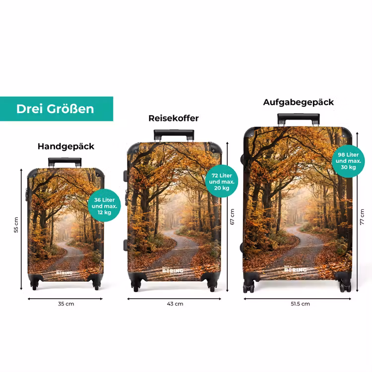 Koffer - Waldweg – Herbstwald – Blätter – Orange – Nostalgisch — 3
