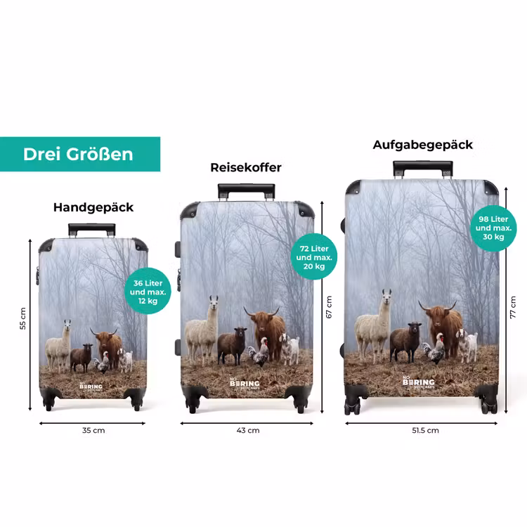 Koffer - Bauernhoftiere – Gruppe – Nebel – Natur – Rustikal — 3