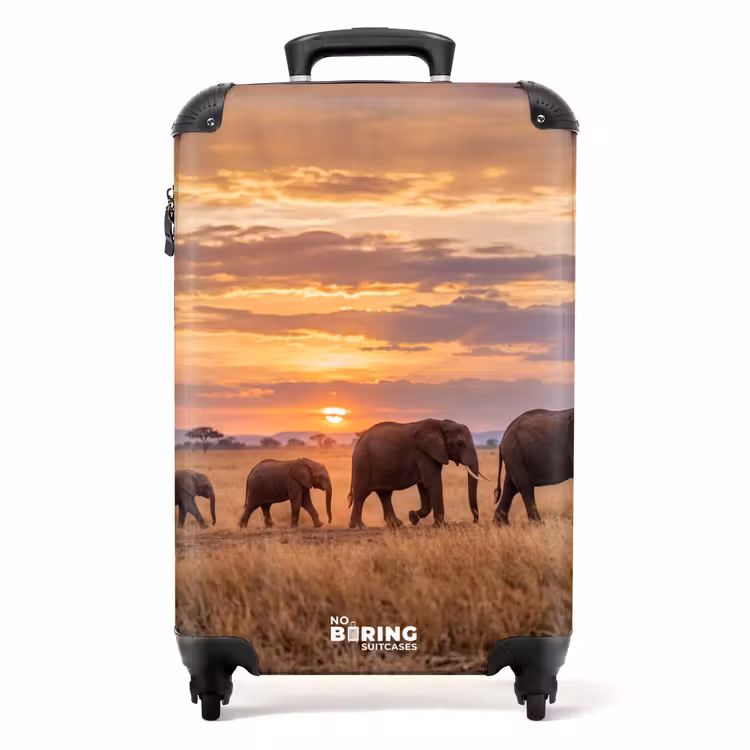 Koffer - Elefanten – Savanne – Sonnenuntergang – Afrika – Warm — 1