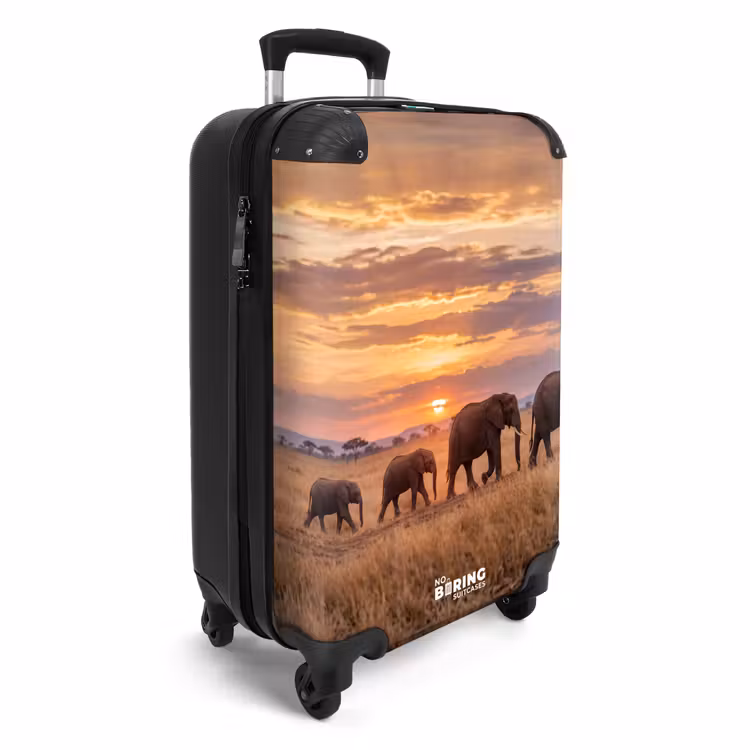 Koffer - Elefanten – Savanne – Sonnenuntergang – Afrika – Warm — 2