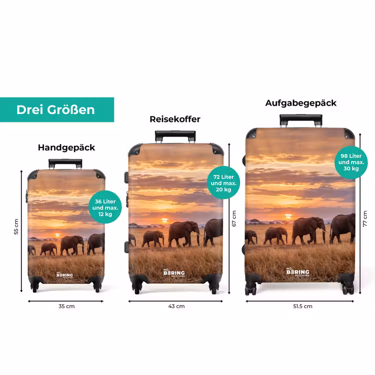 Koffer - Elefanten – Savanne – Sonnenuntergang – Afrika – Warm — 3
