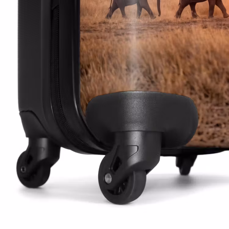 Koffer - Elefanten – Savanne – Sonnenuntergang – Afrika – Warm — 7