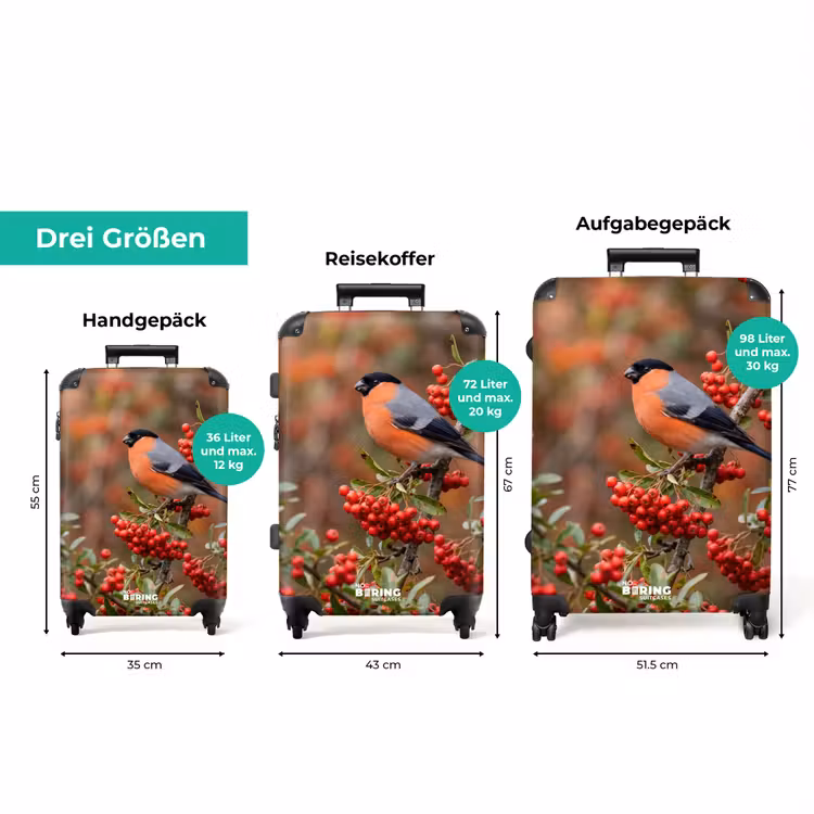Koffer - Goldfink – Beeren – Herbst – Natur – Farbenfroh — 3