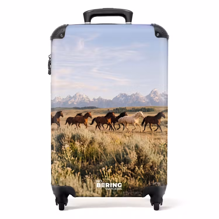 Koffer - Pferde – Herde – Berge – Freiheit – Wild — 1