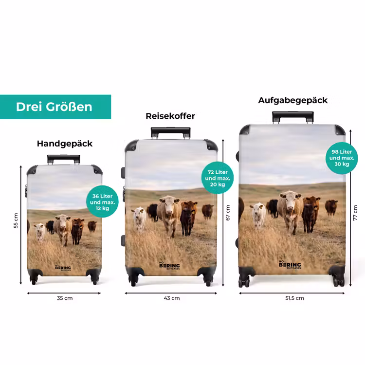 Koffer - Rinder – Herde – Landschaft – Weide – Ruhig — 3