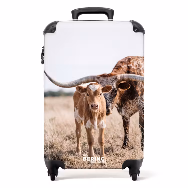 Koffer - Texas Longhorn – Kalb – Weide – Tiere — 1