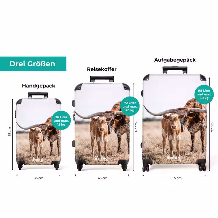 Koffer - Texas Longhorn – Kalb – Weide – Tiere — 3