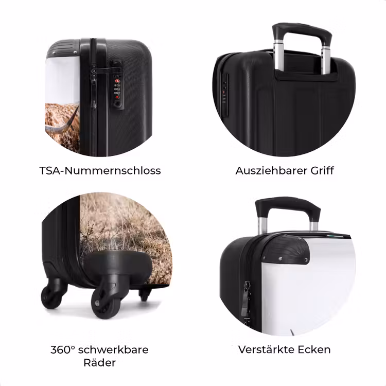 Koffer - Texas Longhorn – Kalb – Weide – Tiere — 8