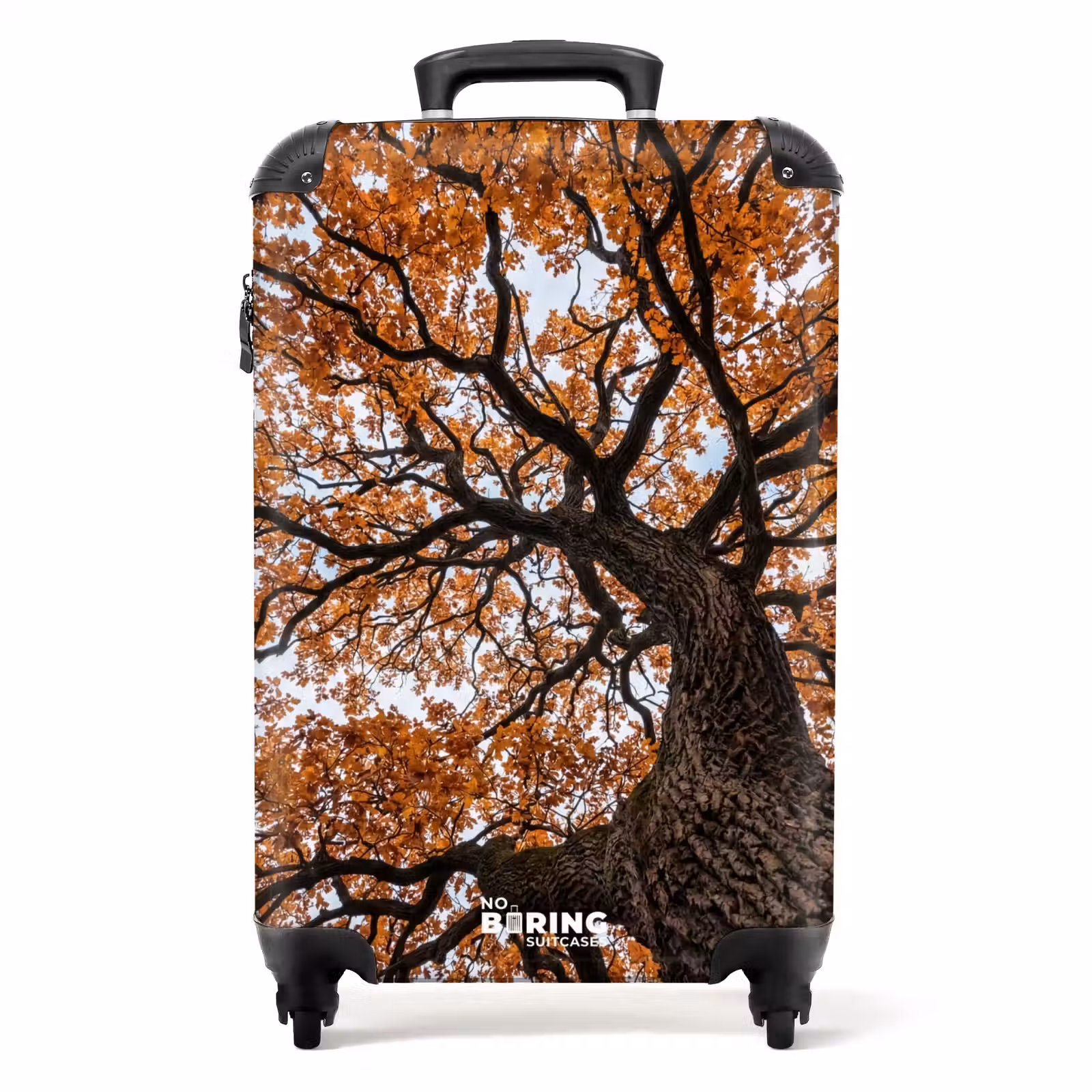 Koffer - Baum – Blätterdach – Herbst – Orange – Stimmungsvoll — 1