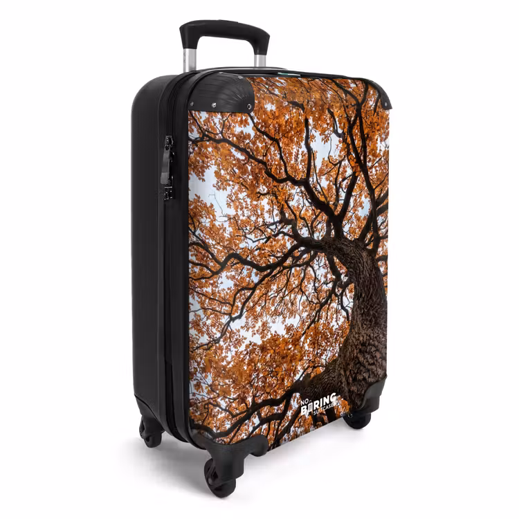 Koffer - Baum – Blätterdach – Herbst – Orange – Stimmungsvoll — 2