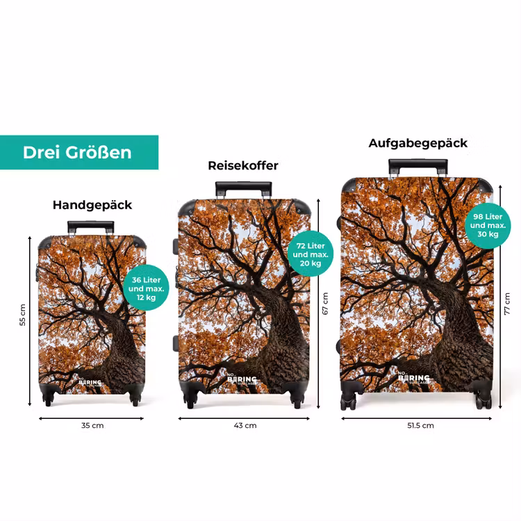 Koffer - Baum – Blätterdach – Herbst – Orange – Stimmungsvoll — 3