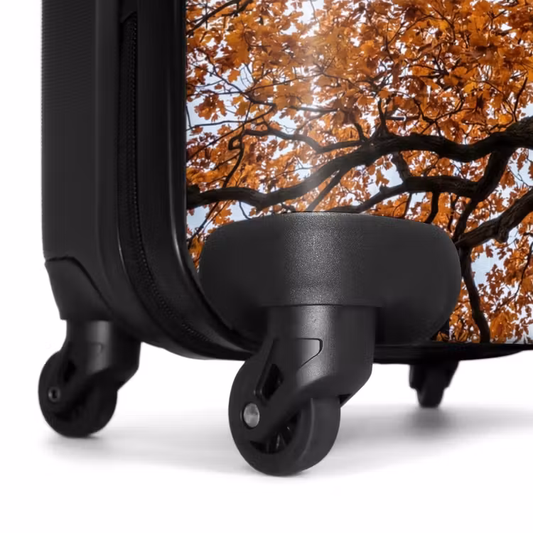 Koffer - Baum – Blätterdach – Herbst – Orange – Stimmungsvoll — 7