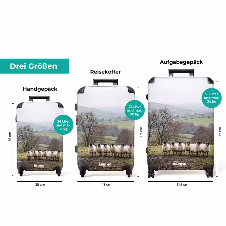 Koffer - Schafe – Reihe – Weide – Tiere – Land — 3