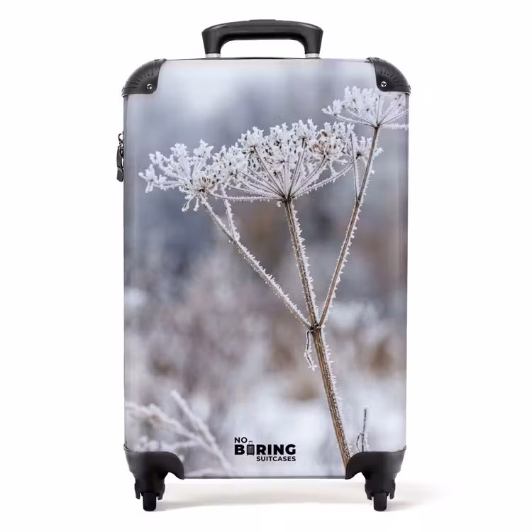 Koffer - Bildschirmblume – Reif – Kristalle – Winter – Zart — 1