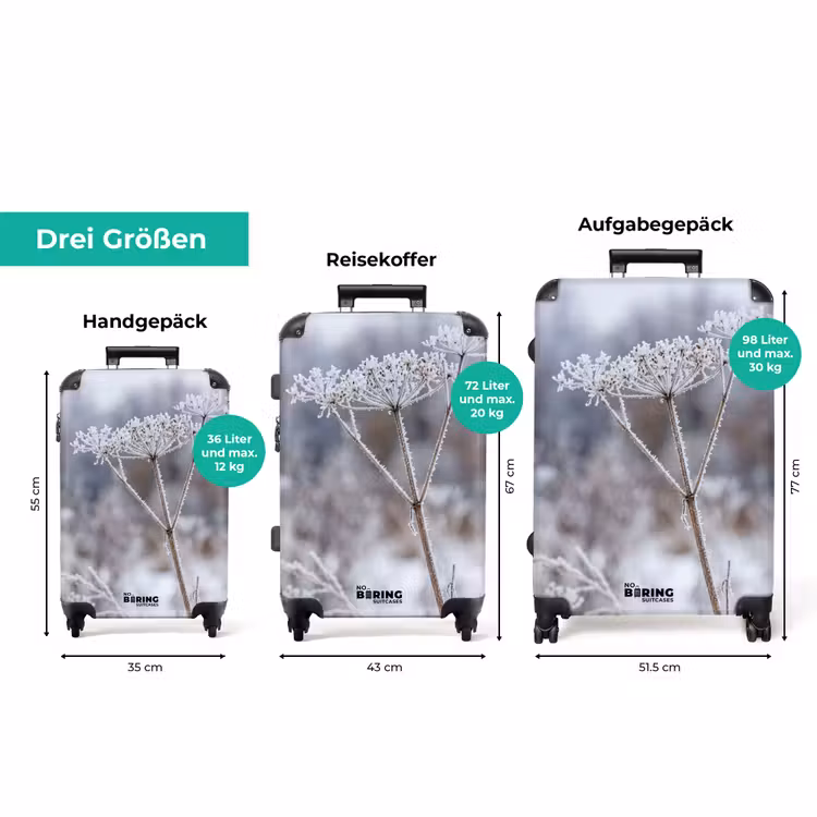 Koffer - Bildschirmblume – Reif – Kristalle – Winter – Zart — 3