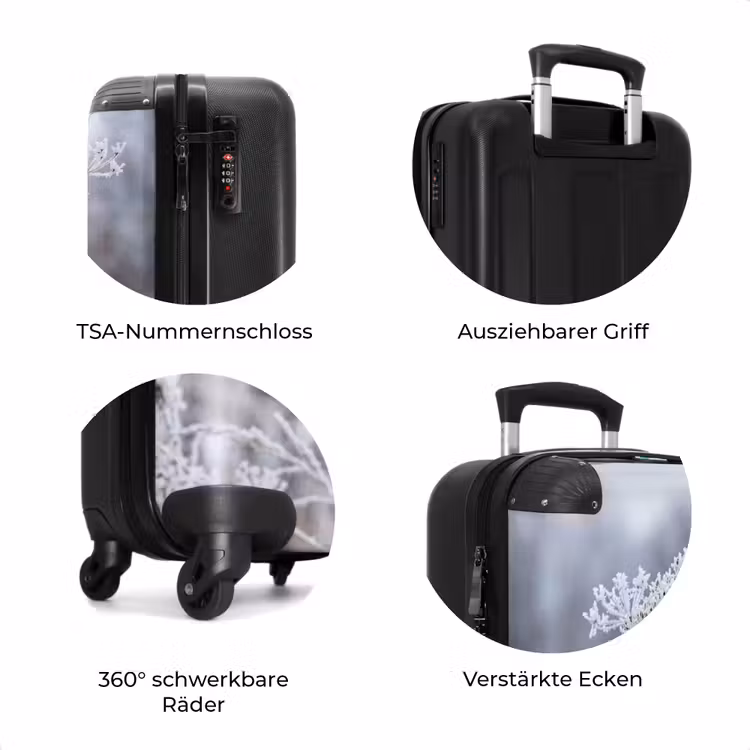 Koffer - Bildschirmblume – Reif – Kristalle – Winter – Zart — 8
