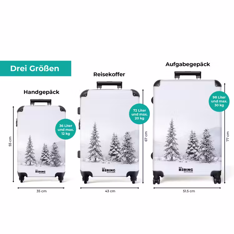 Koffer - Fichtensträucher – Schnee – Winter – Landschaft – Stille — 3