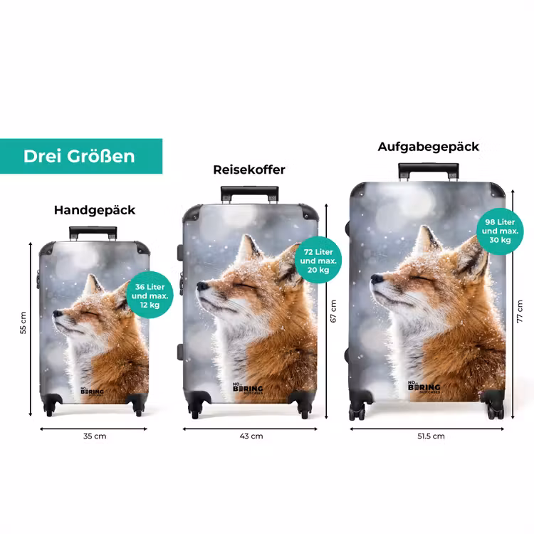 Koffer - Fuchs – Schneefall – Porträt – Winter – Stimmungsvoll — 3
