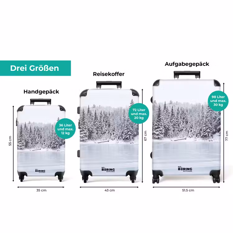 Koffer - Mehr – Kiefern – Eis – Winter – Beruhigend — 3