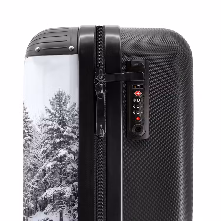 Koffer - Mehr – Kiefern – Eis – Winter – Beruhigend — 6