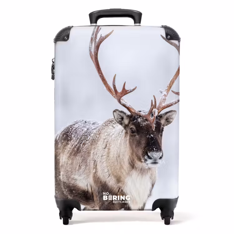 Koffer - Rentier – Geweih – Tundra – Schnee – Wild — 1