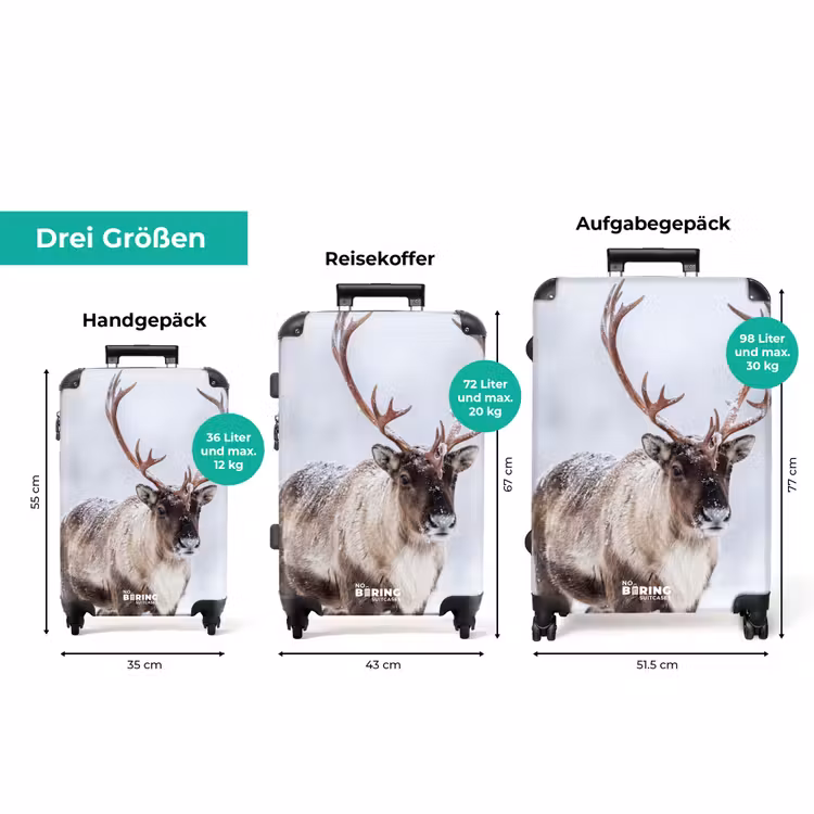 Koffer - Rentier – Geweih – Tundra – Schnee – Wild — 3