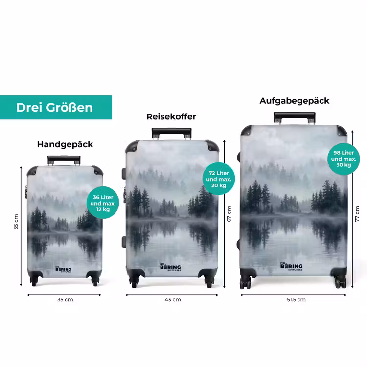 Koffer - Wald – See – Nebel – Natur – Grau — 3