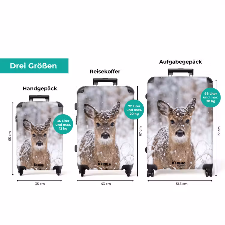 Koffer - Hirsch – Schnee – Wald – Tiere – Rührend — 3