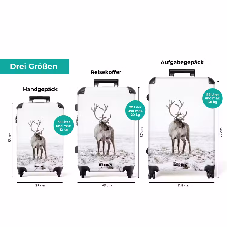 Koffer - Rentier – Geweih – Schnee – Winter — 3