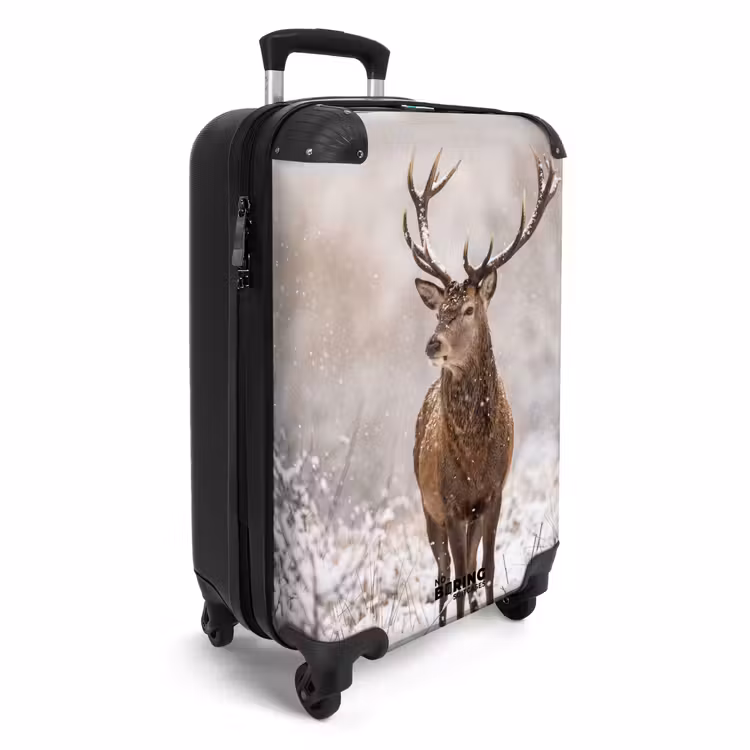 Koffer - Rotwild – Wald – Schnee – Winter – Majestätisch — 2
