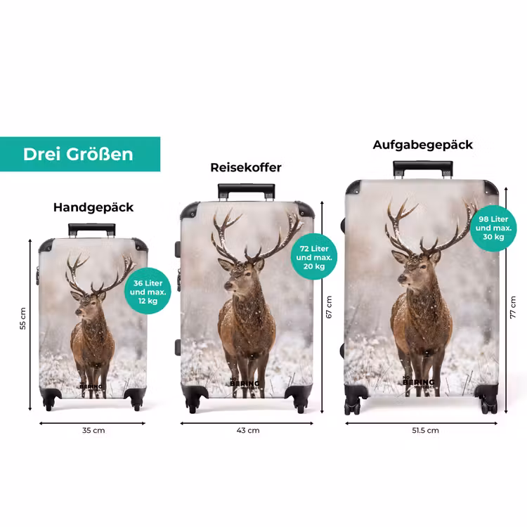 Koffer - Rotwild – Wald – Schnee – Winter – Majestätisch — 3