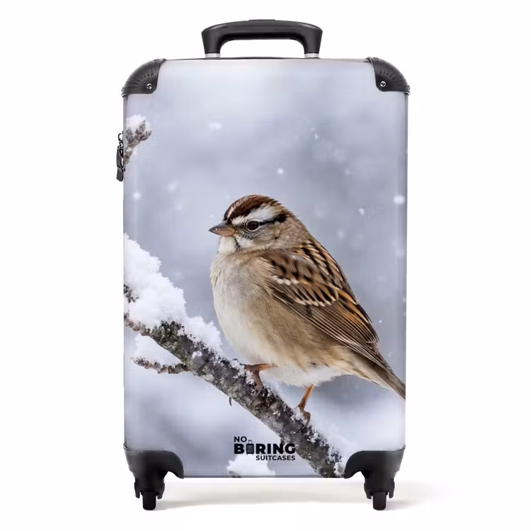 Koffer - Vogel – Ast – Schnee – Winter — 1