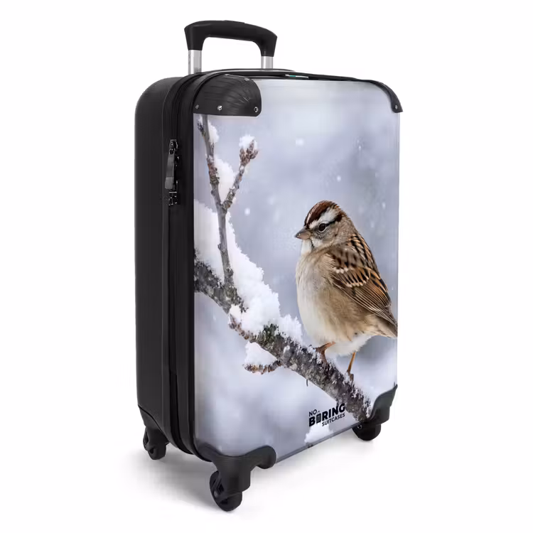 Koffer - Vogel – Ast – Schnee – Winter — 2