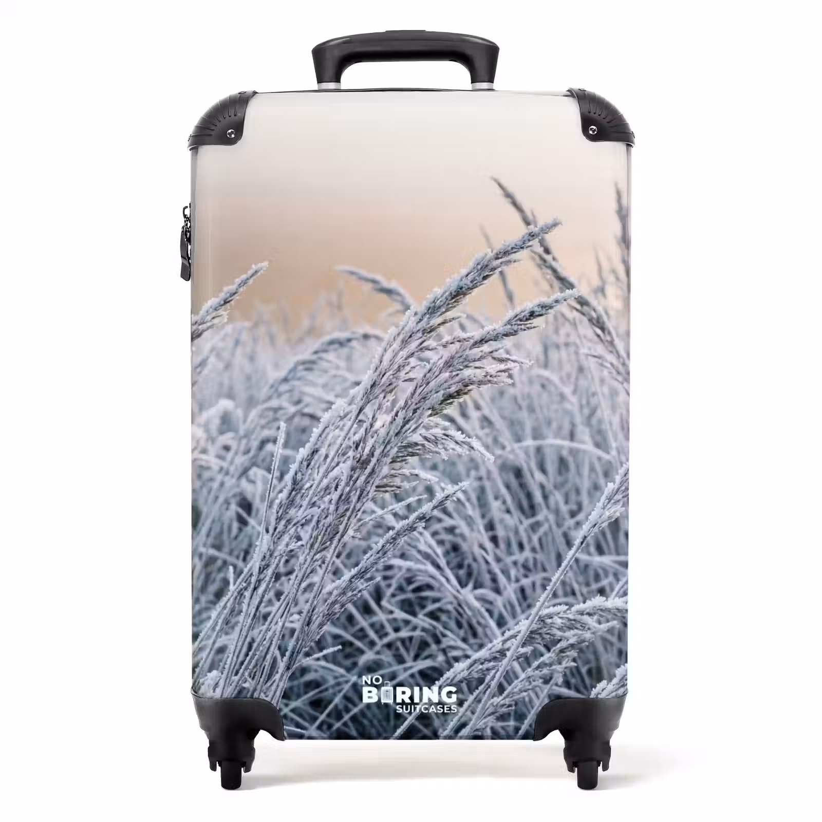 Koffer - Reif – Gras – Kristalle – Winter – Minimalistisch — 1