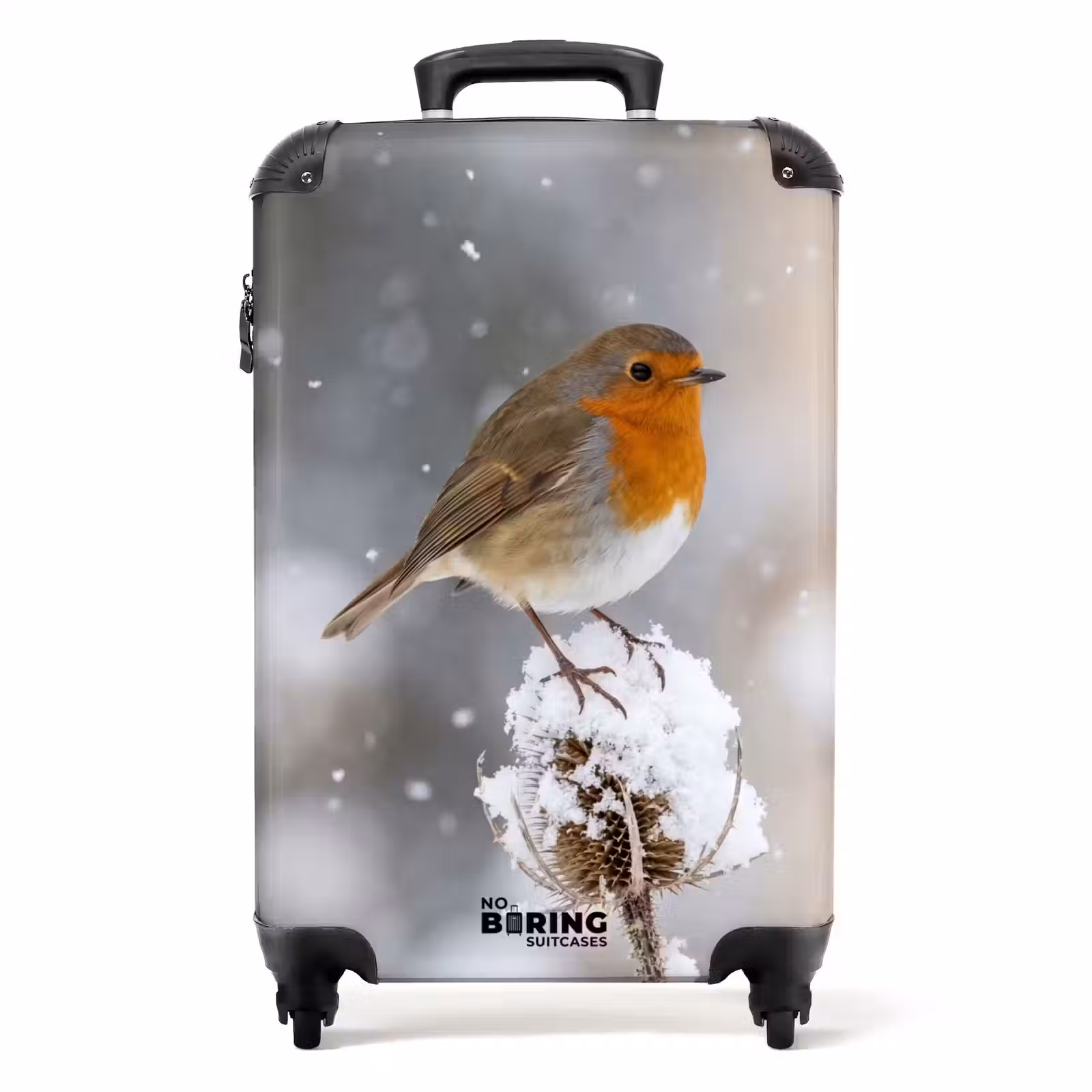 Koffer - Rotkehlchen – Getrocknete Blume – Schnee – Winter – Herzerwärmend — 1