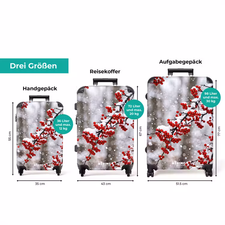 Koffer - Beeren – Zweige – Schnee – Winter – Bunt — 3