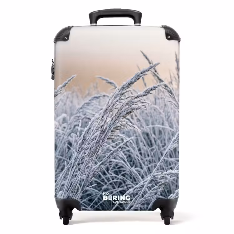 Koffer - Reif – Gras – Kristalle – Winter – Minimalistisch — 1