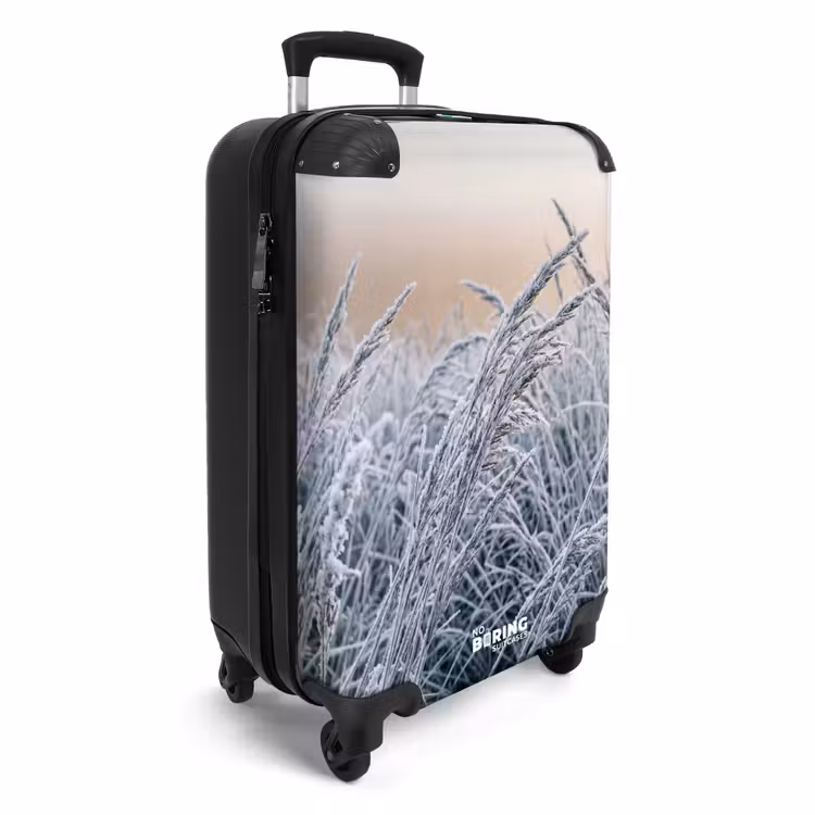 Koffer - Reif – Gras – Kristalle – Winter – Minimalistisch — 2