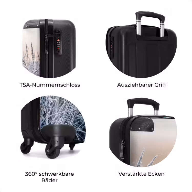 Koffer - Reif – Gras – Kristalle – Winter – Minimalistisch — 8