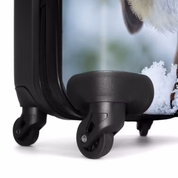 Koffer - Rotkehlchen – Ast – Schnee – Winter – Lebhaft — 7