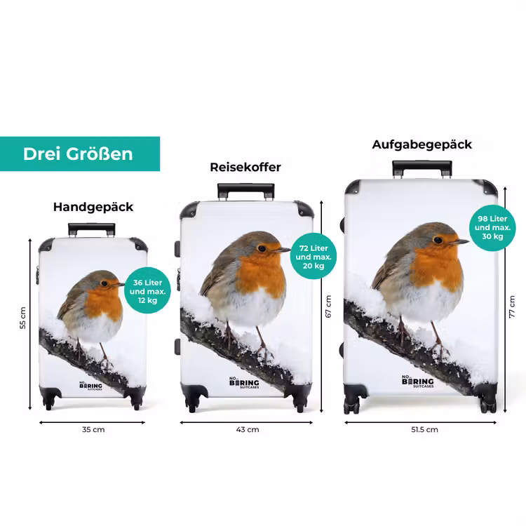Koffer - Rotkehlchen – Ast – Schnee – Winter – Lebhaft — 3