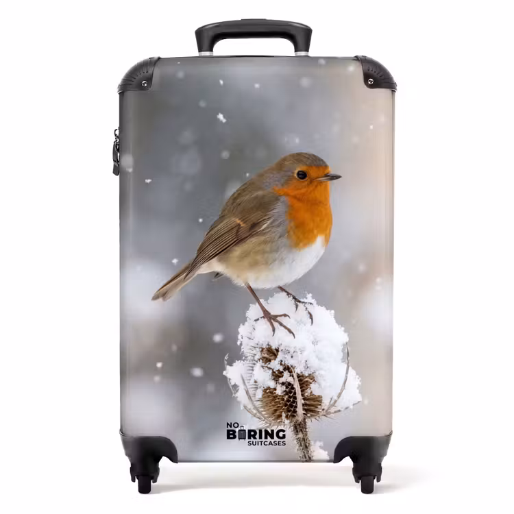 Koffer - Rotkehlchen – Getrocknete Blume – Schnee – Winter – Herzerwärmend — 1