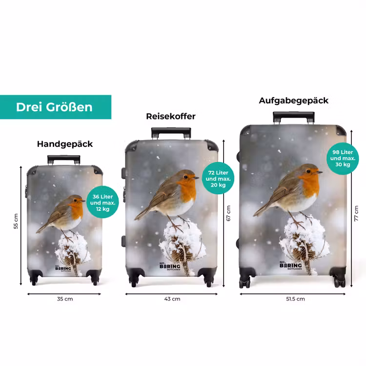 Koffer - Rotkehlchen – Getrocknete Blume – Schnee – Winter – Herzerwärmend — 3