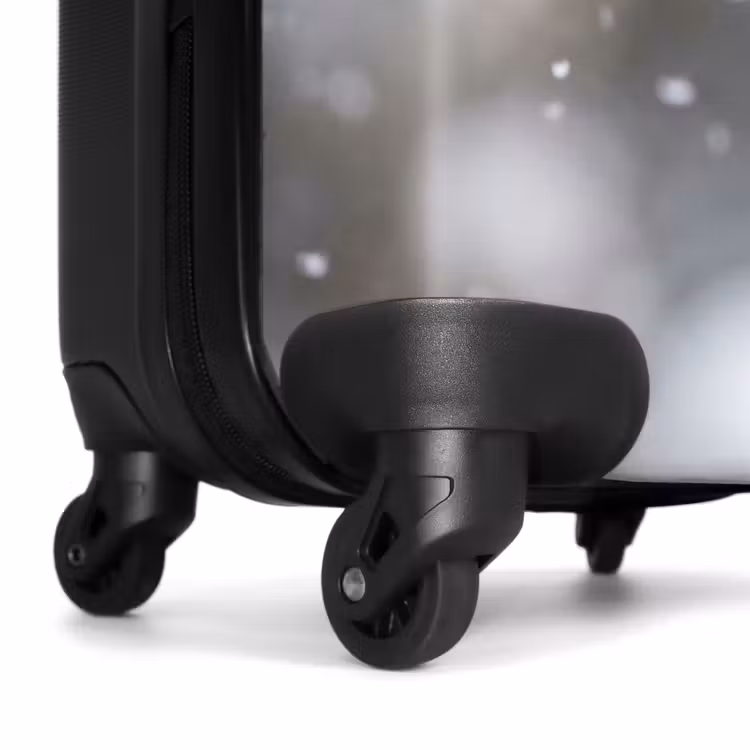 Koffer - Rotkehlchen – Getrocknete Blume – Schnee – Winter – Herzerwärmend — 7