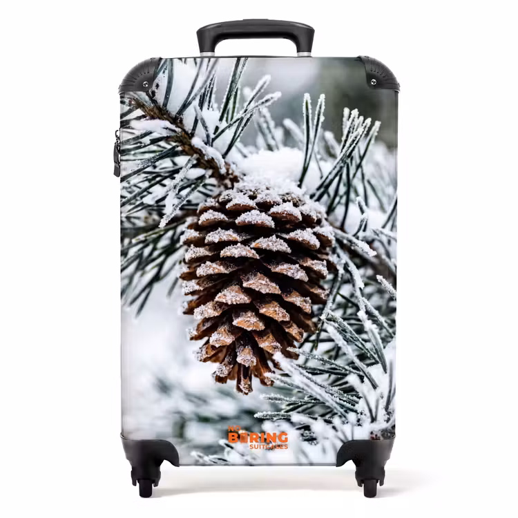 Koffer - Tannenzapfen – Zweig – Schnee – Winter – Stimmungsvoll — 1