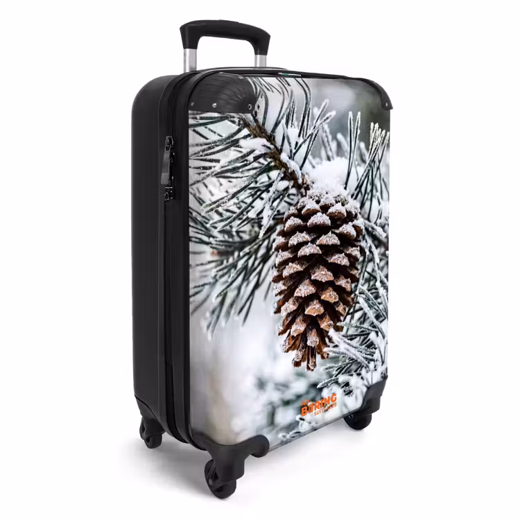 Koffer - Tannenzapfen – Zweig – Schnee – Winter – Stimmungsvoll — 2