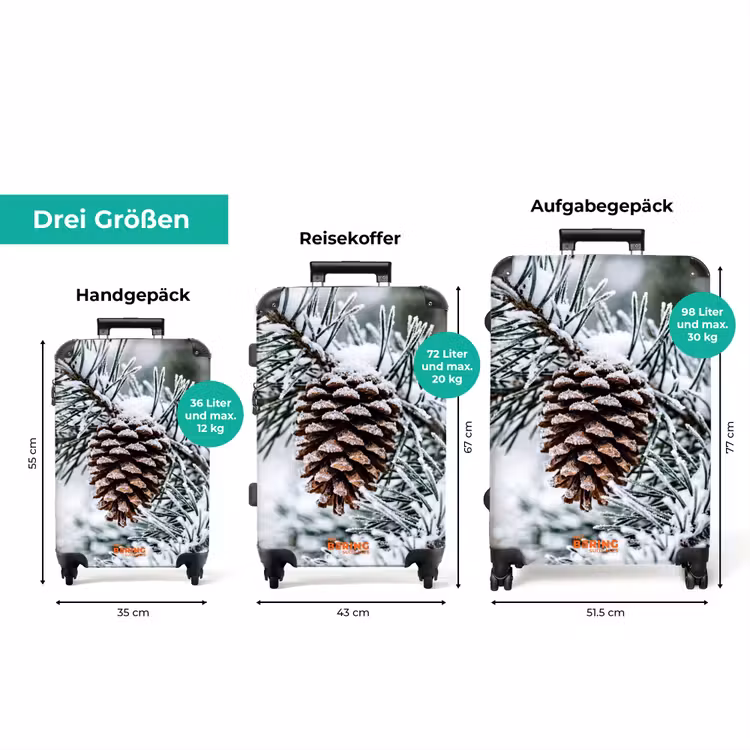 Koffer - Tannenzapfen – Zweig – Schnee – Winter – Stimmungsvoll — 3